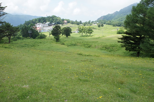 e0159192_21114611.jpg