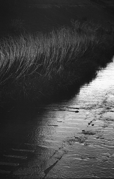 c0214494_20103820.jpg