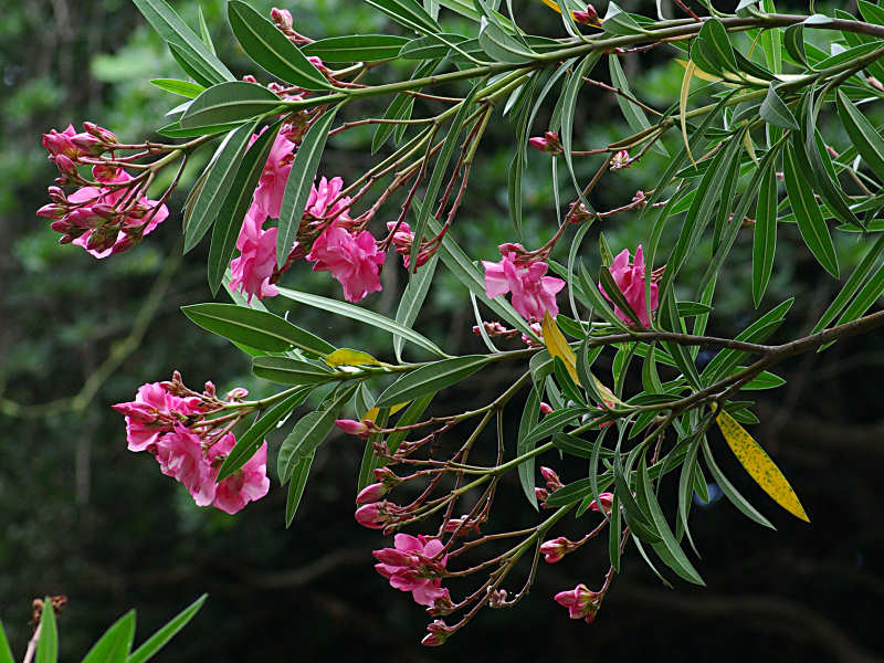 f0204094_9211726.jpg