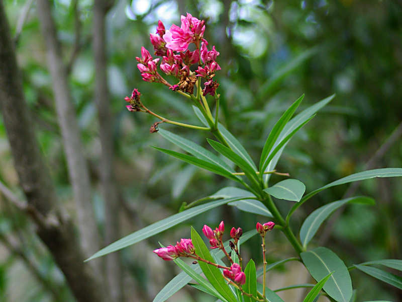 f0204094_921233.jpg