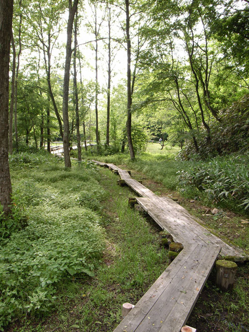 f0217896_1221566.jpg