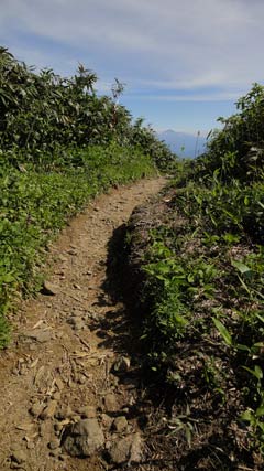 2011朝日連峰　その2_a0157297_0462272.jpg