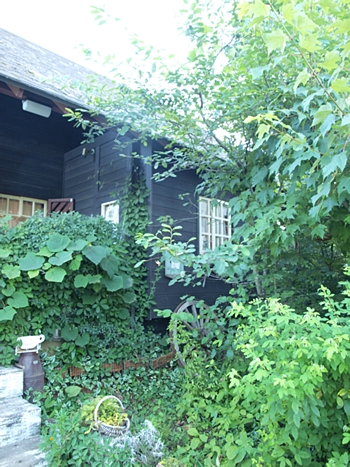 b0183497_6265364.jpg