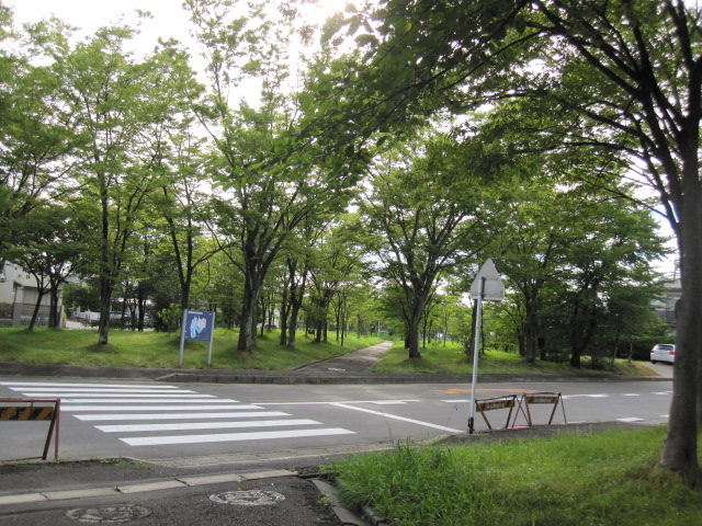 台風が去って。_a0145798_19382347.jpg