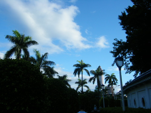 a0196698_10302651.jpg
