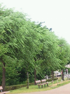 c0208099_0375523.jpg