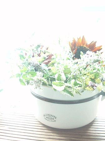 c0129702_954079.gif