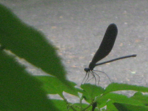 f0146802_15542642.jpg