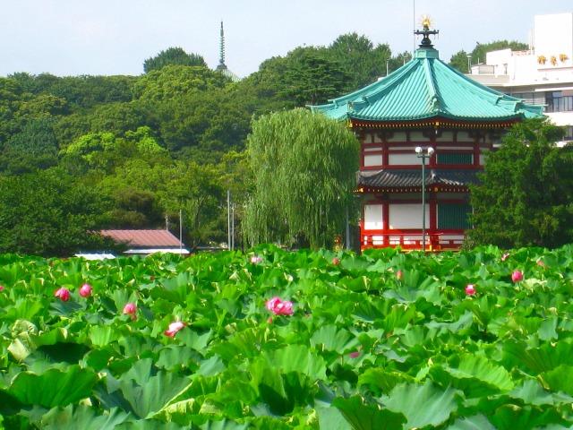 b0190603_1713056.jpg