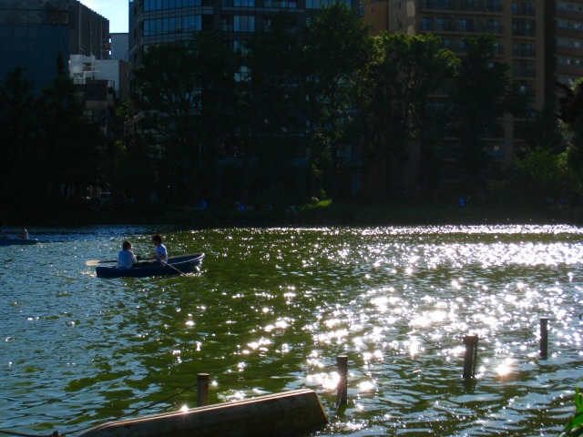 b0190603_1791480.jpg