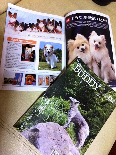 バディ　７月号　/　Buddy July issue_a0032004_52829.jpg