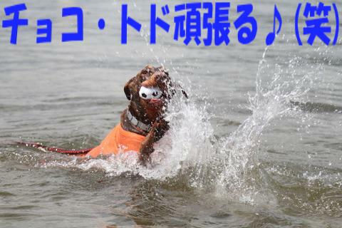 e0100007_2103650.jpg