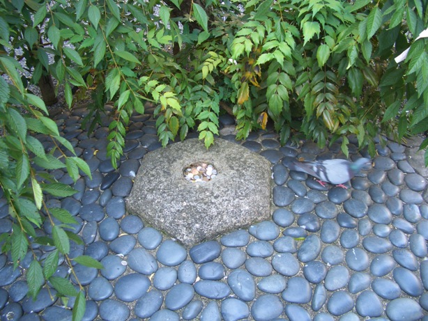 e0033713_1025163.jpg