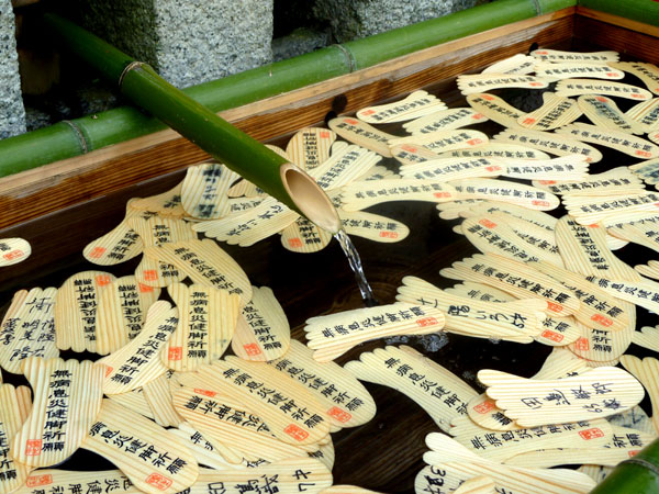 下鴨神社 みたらし祭り_e0048413_19595994.jpg