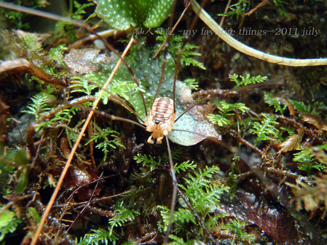 d0226214_0212644.jpg