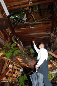 ピンポイント台風？：台風６号マーゴン、空海の悟りの地、太龍寺を破壊！_e0171614_9575592.jpg