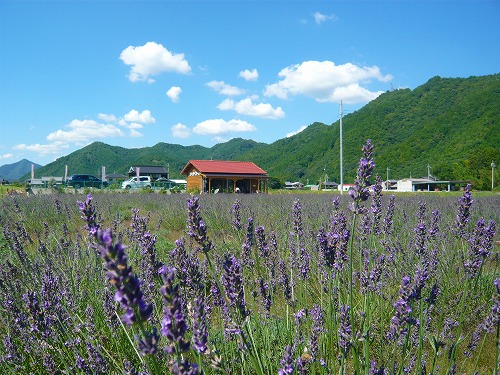 素敵な日曜日♪だったんだけど~★_f0223914_21444142.jpg
