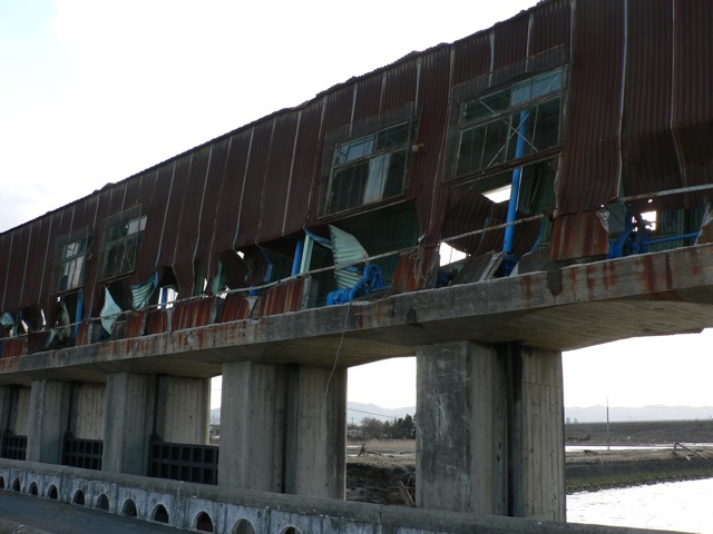 f0143119_21361745.jpg