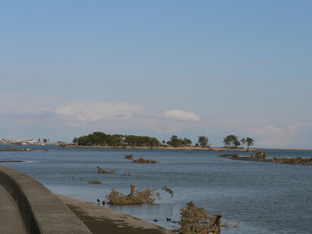 f0143119_21382210.jpg