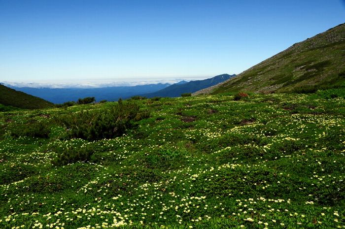f0041230_22193943.jpg