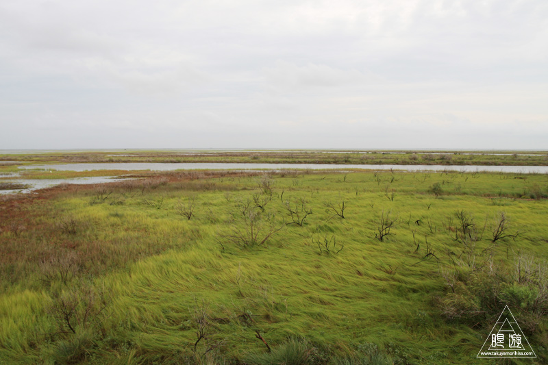 c0211532_12584331.jpg