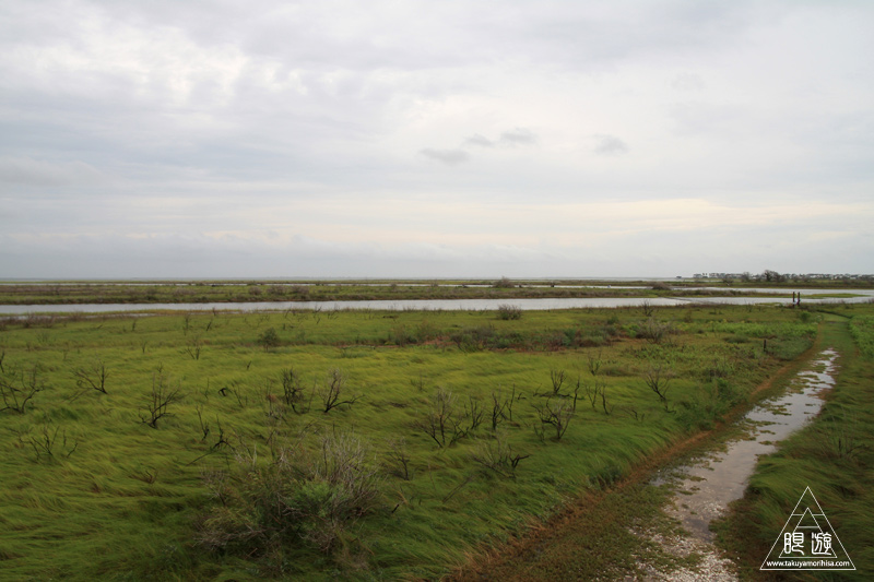 c0211532_1375564.jpg