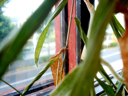e0224632_22721.jpg