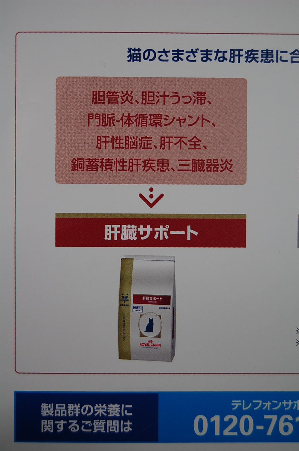2011/7/20 タマ絶好調_f0211133_8553767.jpg