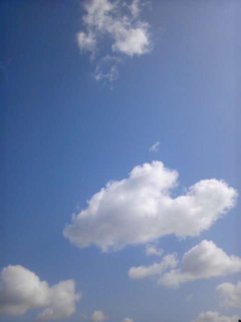 a0163738_16265268.jpg