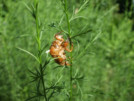 c0202242_8162466.jpg