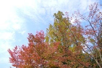 b0025850_12551043.jpg