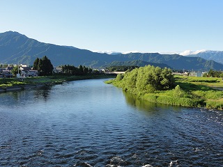 涼しそうな朝_a0084753_814477.jpg