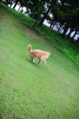 f0044853_23573351.jpg