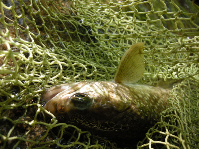 a0215155_13353965.jpg