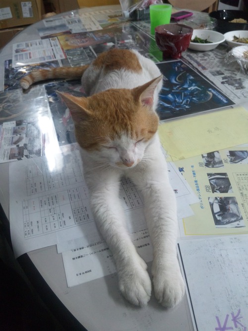 未だに現役でござる。_a0163159_2153119.jpg