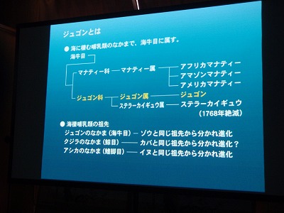 c0180460_12251491.jpg