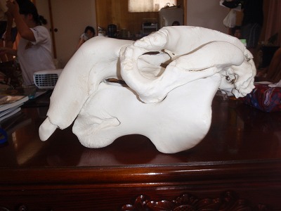 c0180460_1226388.jpg