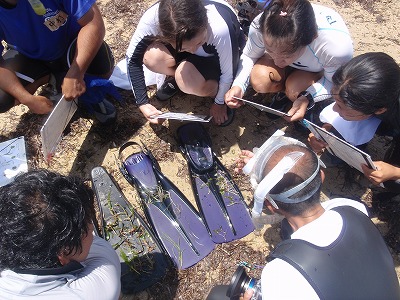 c0180460_1231216.jpg