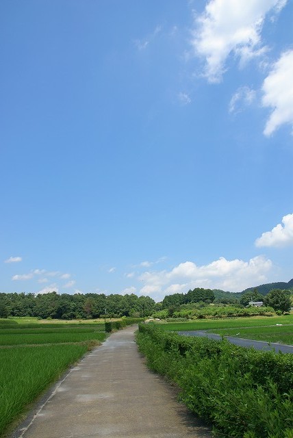 b0198768_8462189.jpg
