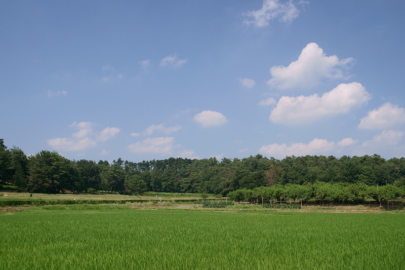 b0198768_94310.jpg