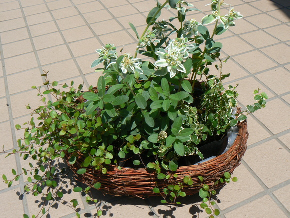 何だか寒いぐらい・・・_b0210688_1035328.jpg