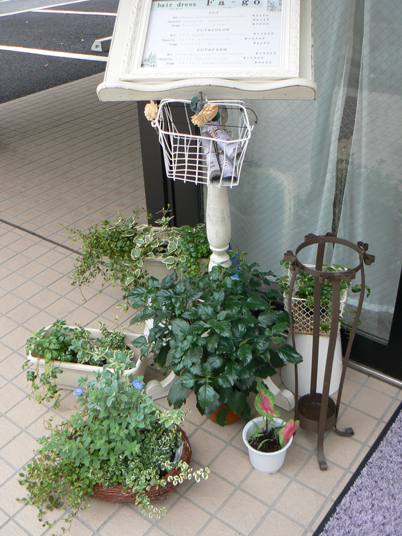 何だか寒いぐらい・・・_b0210688_10402635.jpg