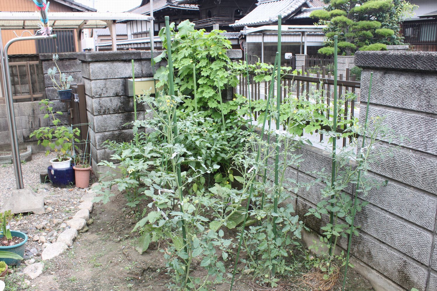 b0177792_17175480.jpg