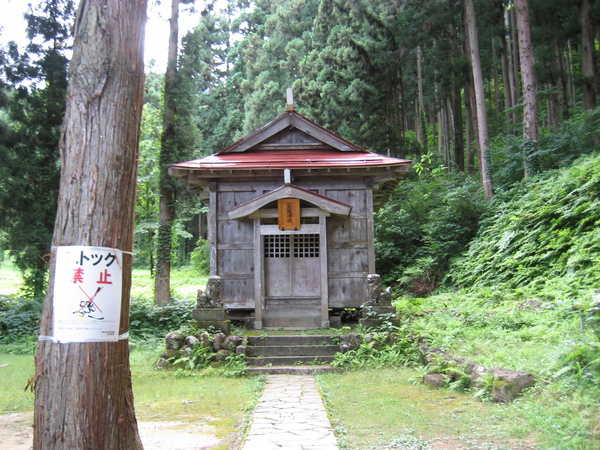 f0117892_8353834.jpg