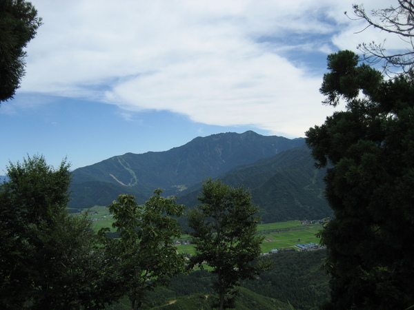 f0117892_8372237.jpg