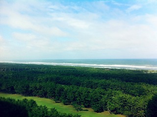 d0230096_18333555.jpg