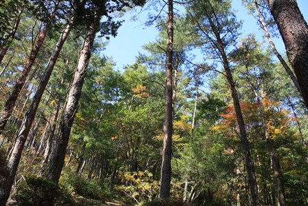 b0125397_1331492.jpg
