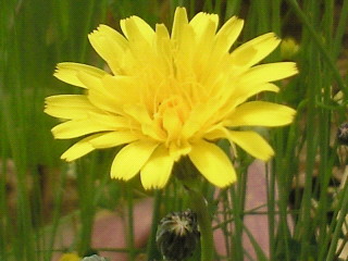 c0208099_1191797.jpg