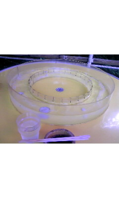 c0229500_8284982.jpg