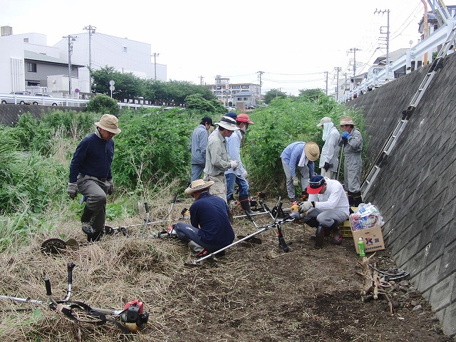 やっぱりヘビが出た！小潤井川の草刈り_f0141310_721311.jpg